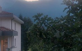 Mountain View House
